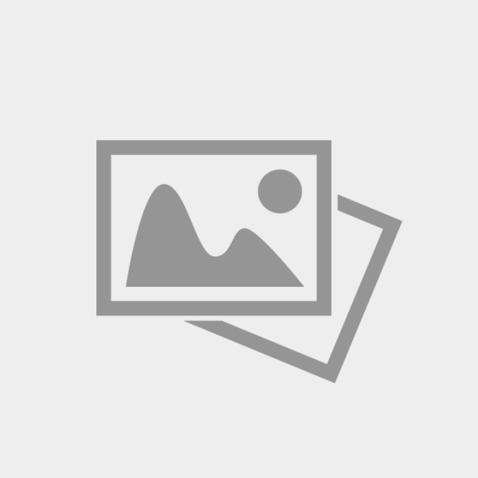 Удилище SHIMANO FORCEMASTER BX SPINNING 24ML SFMBX24ML